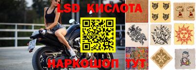 шишки Балашиха