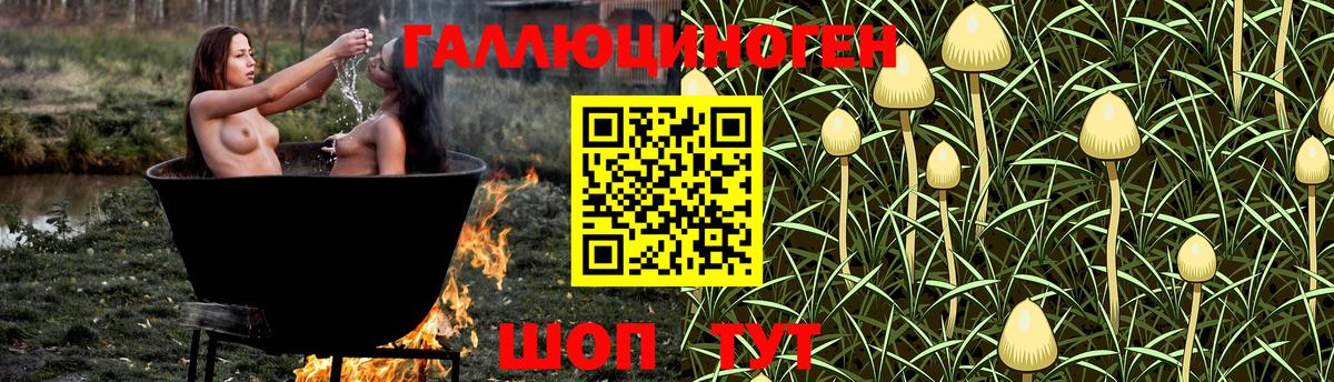 Псилоцибиновые грибы мухоморы  Вход с VPN  Ессентуки 