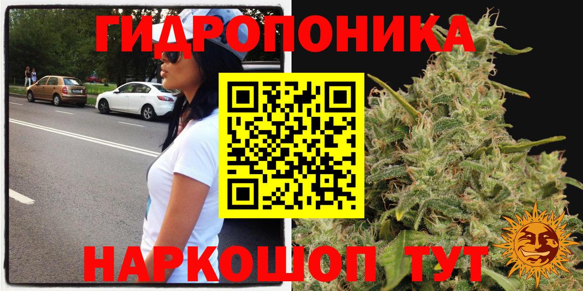 Ессентуки  Бошки марихуана план  Бошки марихуана индика  Шишки марихуана марихуана  Вход с VPN 